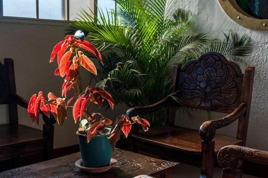 Hotel Encanto Del Sur San Juan del Sur Zewnętrze zdjęcie